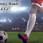 Đồng banh là gì?